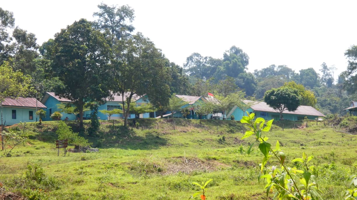 Pusat Latihan Gajah (PLG) Seblat